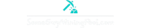 someguyminingpool logo